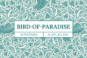 Bird-of-Paradise patterns, a Pattern Graphic by Piñata (Thumbnail 1 of 13)
