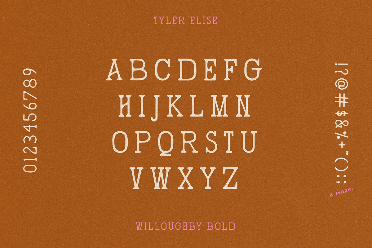 WILLOUGHBY by Tyler Elise, a Serif Font by tylerelise (Photo 3 of 7)