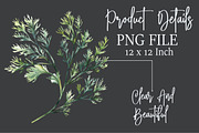 Winter Herbs Sublimation Clipart, an Illustration by Rose Art (Thumbnail 7 of 7)