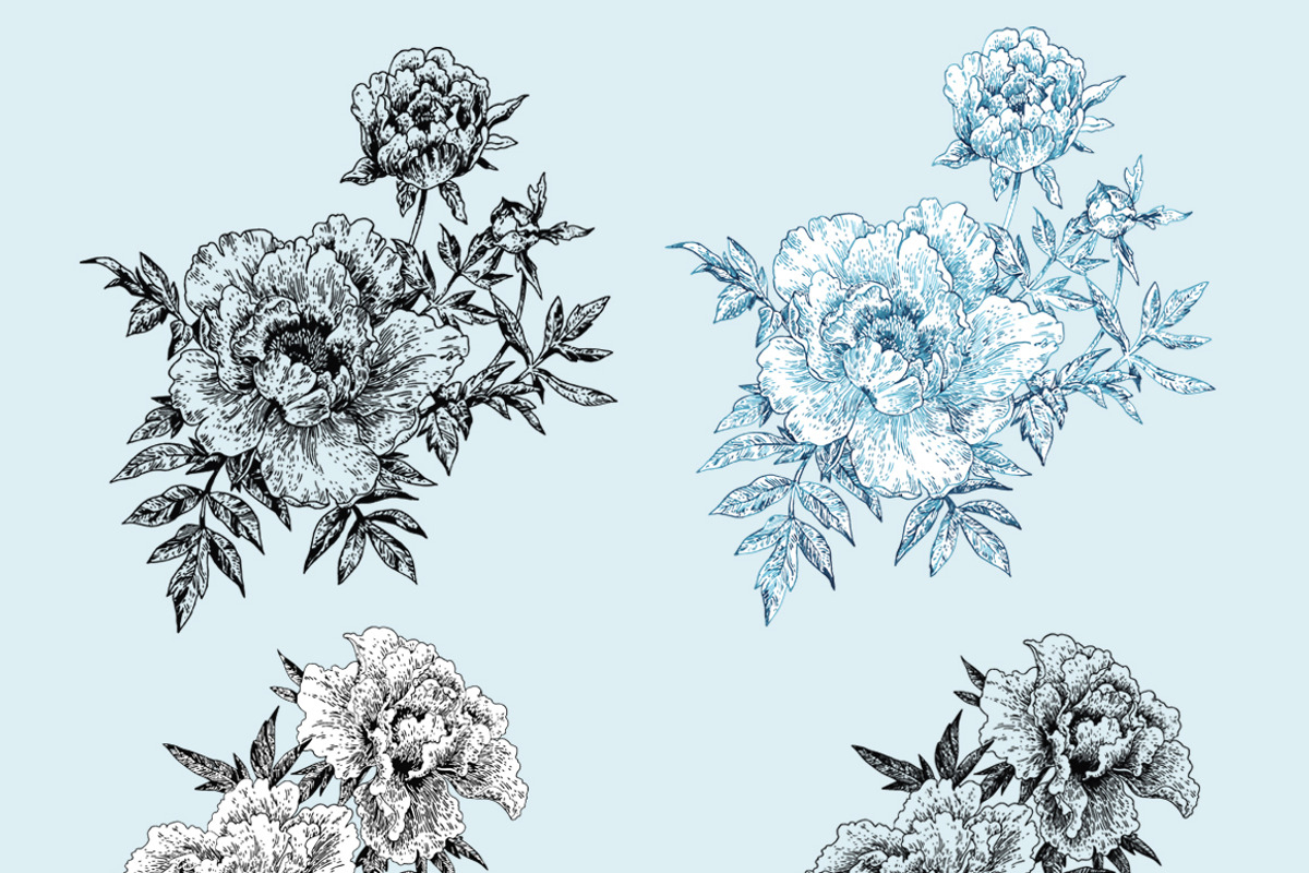 Peonies Line Art, a Decorative Illustration by Anastasia (Photo 8 of 9)