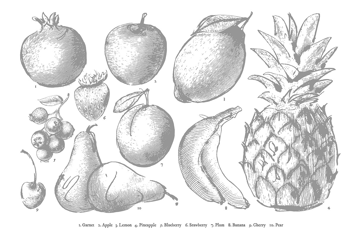 Fruits collection, an Object Graphic by Siosay (Photo 5 of 8)