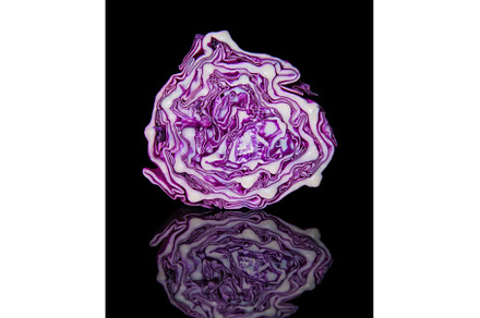 High resolution photo: Red cabbage, a Food & Drink Photo by Designer's best friend