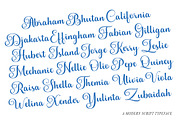 Andelintia, a Script Font by IM Studio (Thumbnail 4 of 9)
