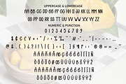 Young Mango | Script Font, a Script Font by Scratchones (Thumbnail 7 of 8)
