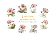 Cosmos Watercolor Floral Clipart, a Decorative Illustration by ForhadGFX (Thumbnail 4 of 15)
