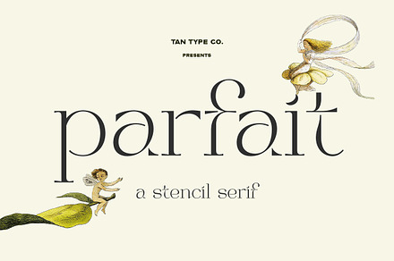 TAN - PARFAIT, a Serif Font by TanType