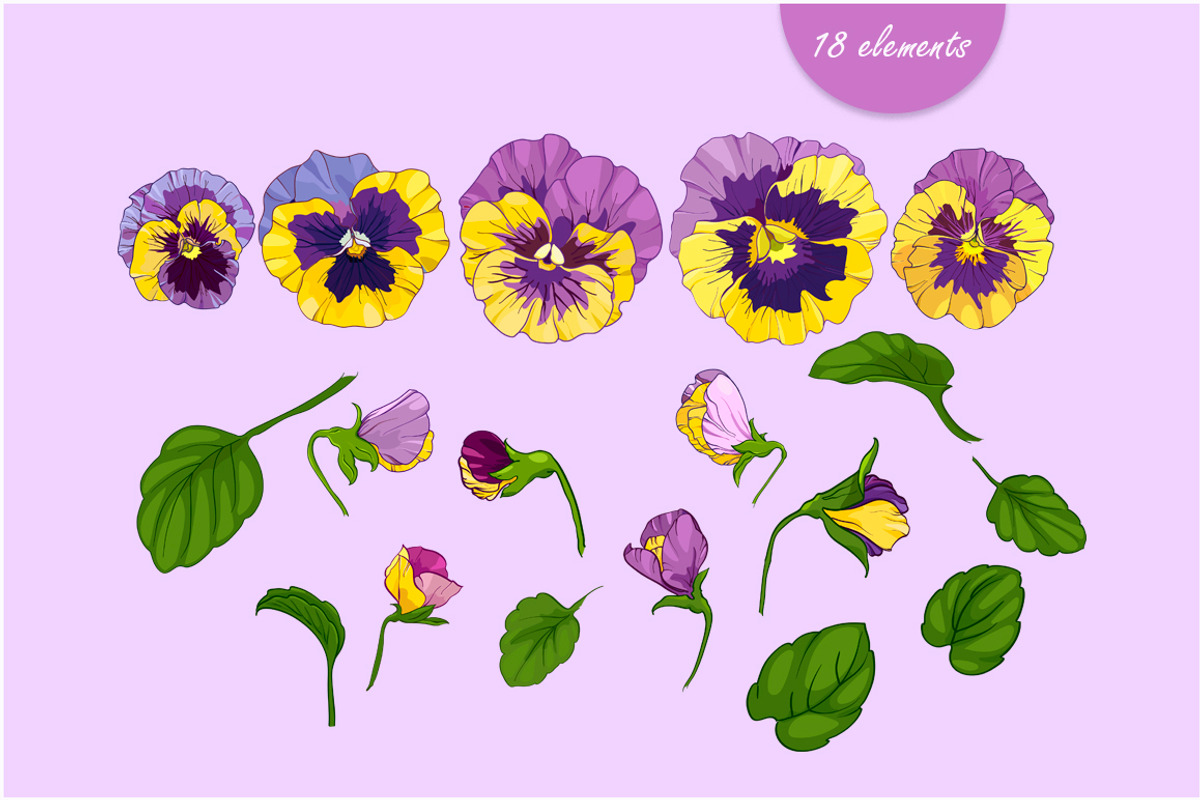 Pansies violets floral collection, an Illustration by EshaStudio (Photo 3 of 8)
