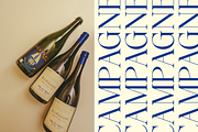 Champles A Modern Serif Typeface, a Serif Font by Comactype Foundry (Thumbnail 6 of 20)
