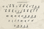 Mellowdy | A Calligraphy Script Font, a Script Font by Analogous (Thumbnail 10 of 11)