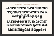 SKR - Tropical Paradise, a Serif Font by Shakira Studio (Thumbnail 10 of 10)