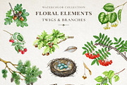 Woodland Animals Watercolor Clipart, an Animal Illustration by AnitaPol (Thumbnail 13 of 17)