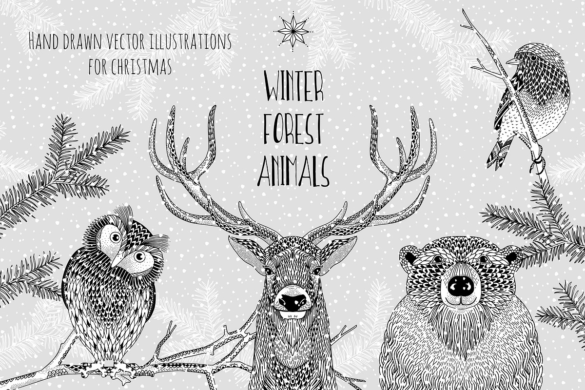 Winter Forest Animals - Hand Drawn, an Animal Illustration by Franzi draws (Photo 1 of 4)