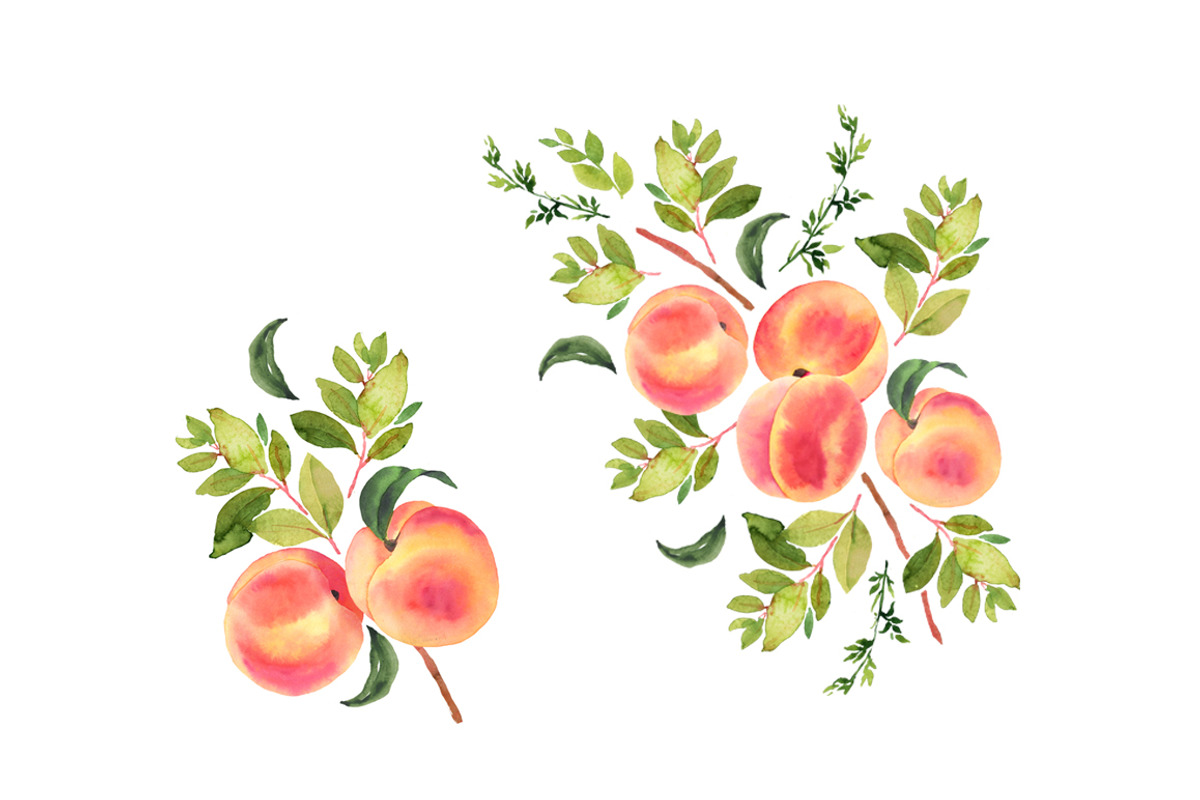 Peaches watercolor clipart, a Food Illustration by AnnelyBlooms (Photo 4 of 6)