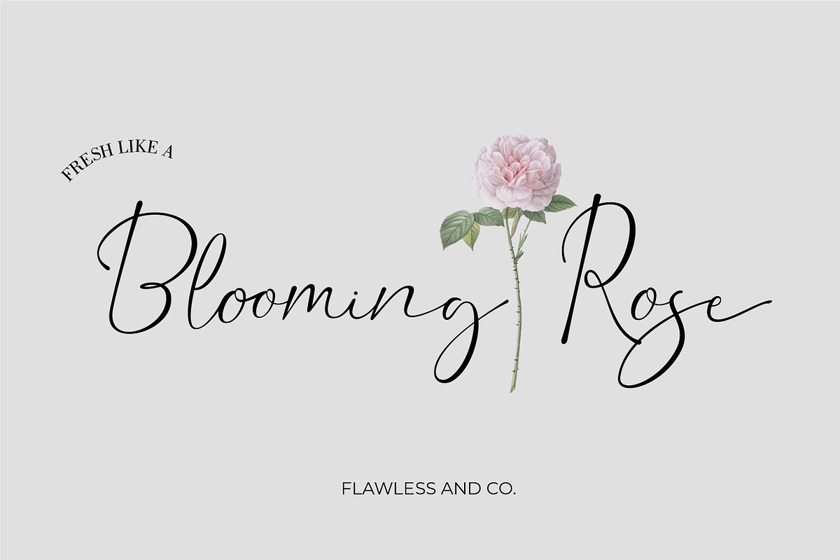 Dorothy, a Script Font by Flawless And Co (Photo 4 of 16)