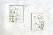 Snowdrops botanical illustration, an Illustration by Olga Koelsch (Thumbnail 4 of 7)