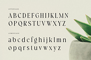 Bokeh - Luxury Logo Font, a Serif Font by Sensatype (Thumbnail 10 of 12)