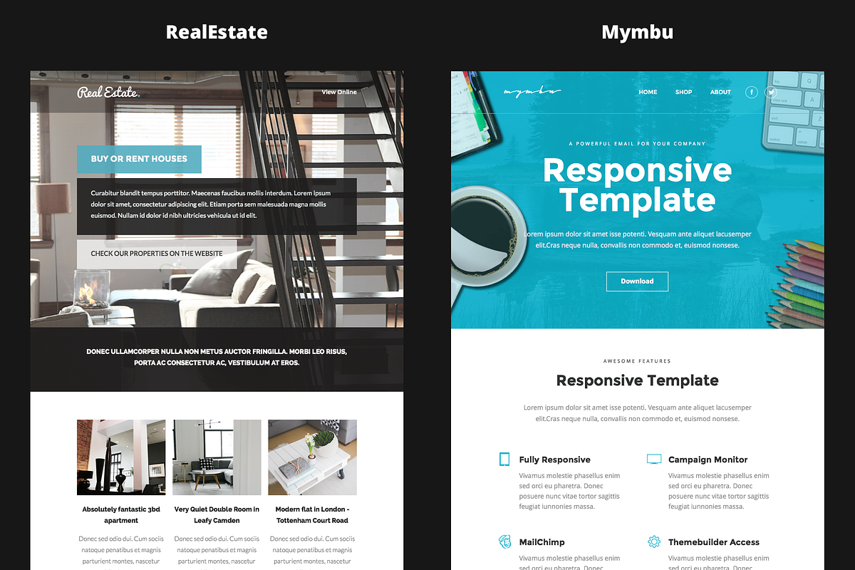 Combo#2 - B1+B3 - 14 Email Templates, an Email Template by DynamicXX (Photo 7 of 9)
