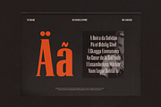TRT Regard Condensed Display Font, a Serif Font by truetype (Thumbnail 15 of 15)