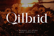 Qilbrid Modern Ligature Serif, a Serif Font by Alfinart (Thumbnail 1 of 10)