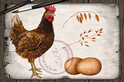 Farm Chicken Watercolor Illustration, a Decorative Illustration by DioFlow (Thumbnail 2 of 7)