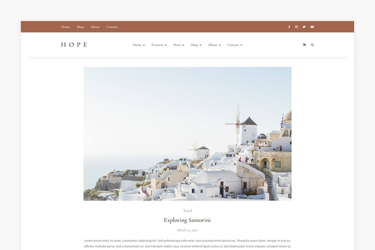 Hope - WordPress Blog & Shop Theme, a WordPress Template by Lucid Themes (Photo 4 of 6)