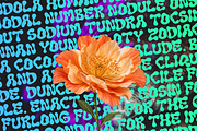 Kemarow - Psychedelic font, a Handwritten Font by Majelis Art (Thumbnail 5 of 9)