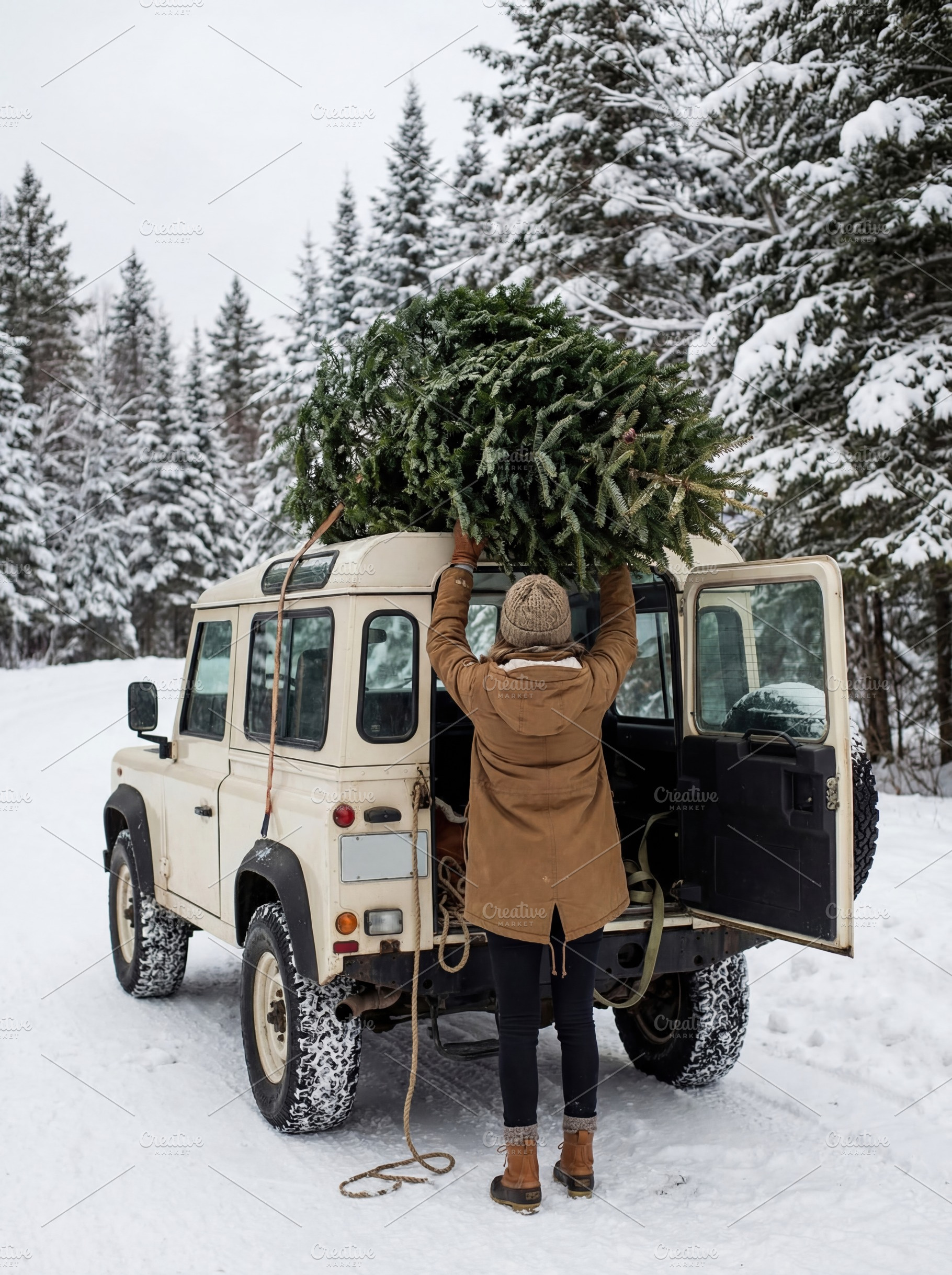 Person Loading Christmas Tree, a Holiday Photo by Virgo Studio