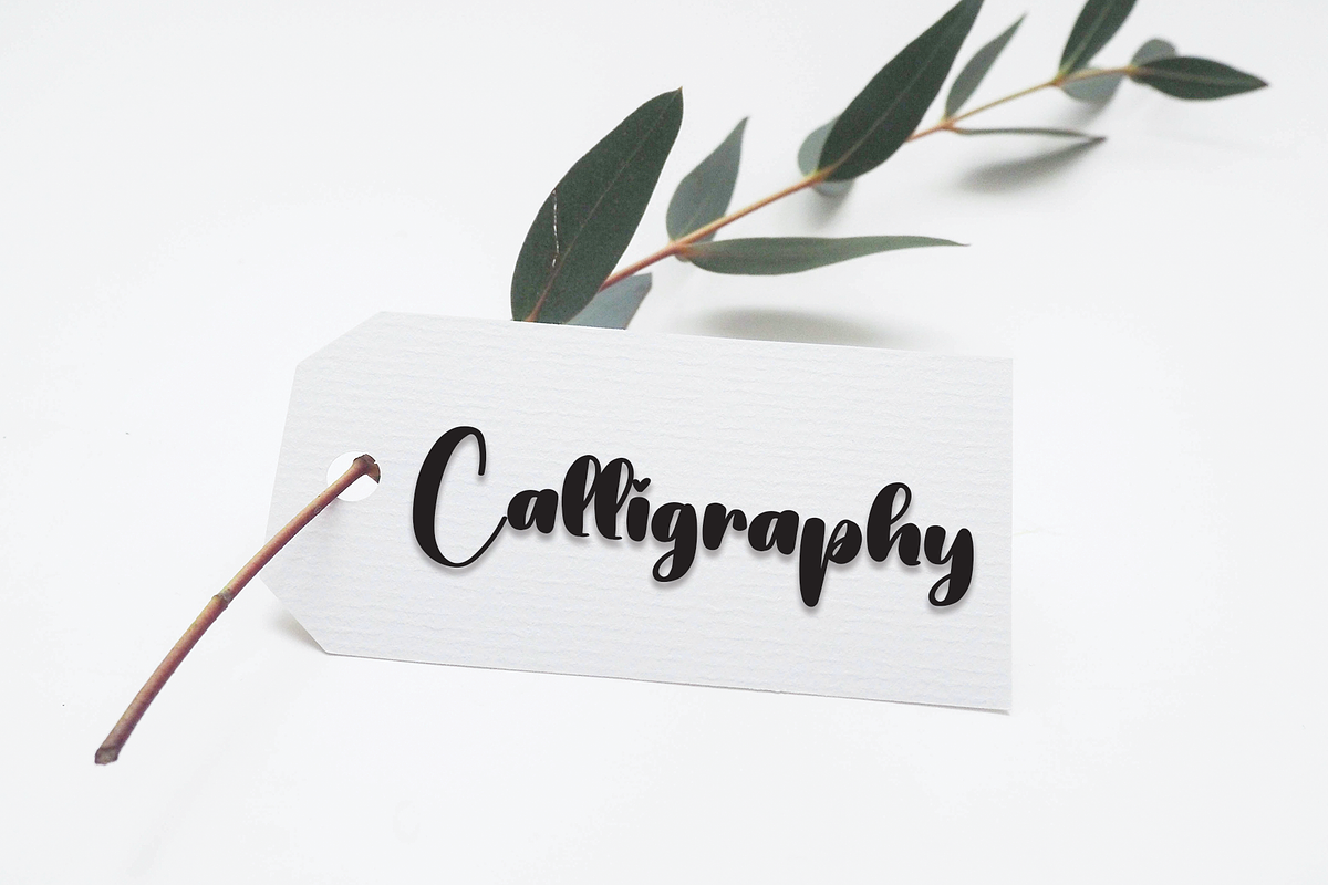 Bold Style | Script Font, a Script Font by Scratchones (Photo 4 of 8)
