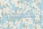 Spring Apple Flowers, a Decorative Illustration by MalyskaStudio (Thumbnail 1 of 13)