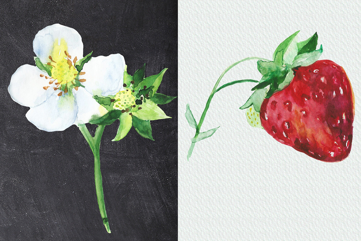 Watercolor Strawberry Clip art, a Food Illustration by DollyPotterson (Photo 6 of 8)