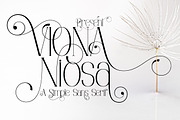 Viona Niosa, a Serif Font by Bramcreative (Thumbnail 1 of 10)