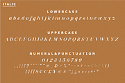 Deroma Serif, a Serif Font by Yahya Type (Thumbnail 19 of 22)