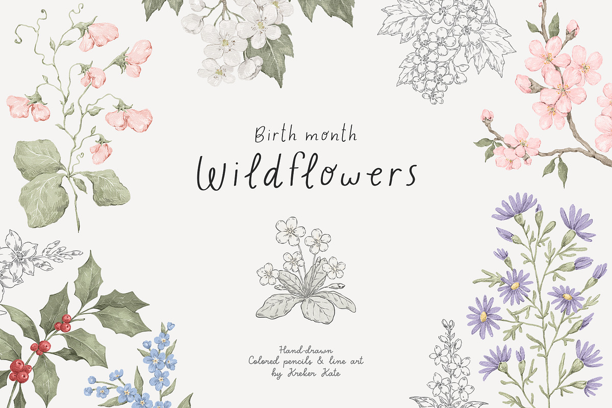 Wildflowers. Hand drawn pencil flora, a Decorative Illustration by Kreker Kate (Photo 1 of 12)