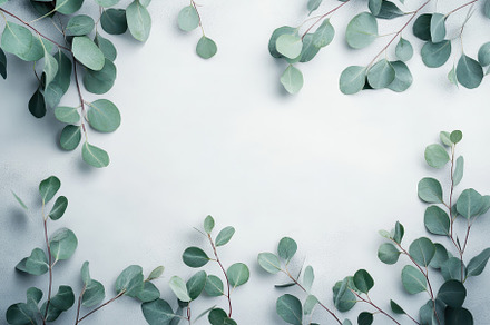 Eucalyptus branches on a pastel gray, a Photo by Pavel_design