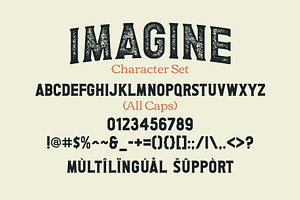 Imagine Vintage Serif