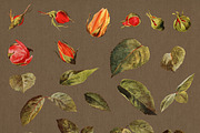 38 Vintage Rose Clip Art Graphics, an Illustration by The Digital Download Shop (Thumbnail 3 of 3)