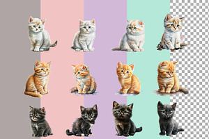 Cat PNG Clipart