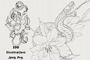 100illustrations Snakes with flowers, a Decorative Illustration by AnnaPolitmerskaja (Thumbnail 1 of 6)