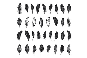 Vintage Black Fluffy Feathers Set, an Illustration by LadadikArt