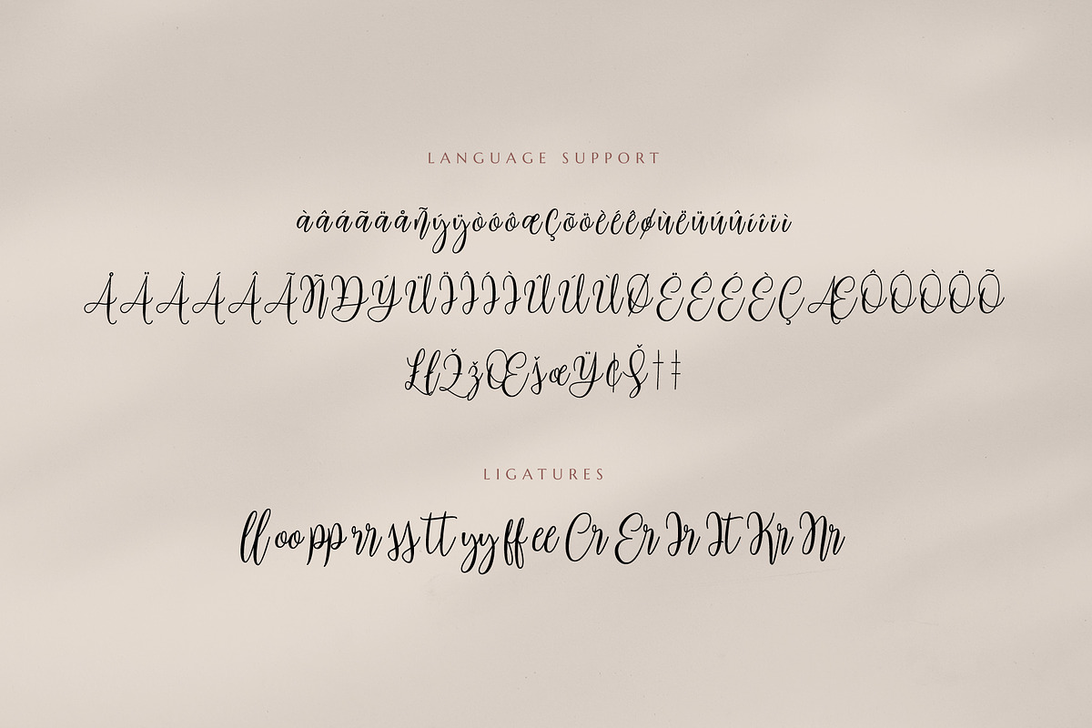 Mariposa Script Calligraphy, a Script Font by Rocket Template (Photo 14 of 15)