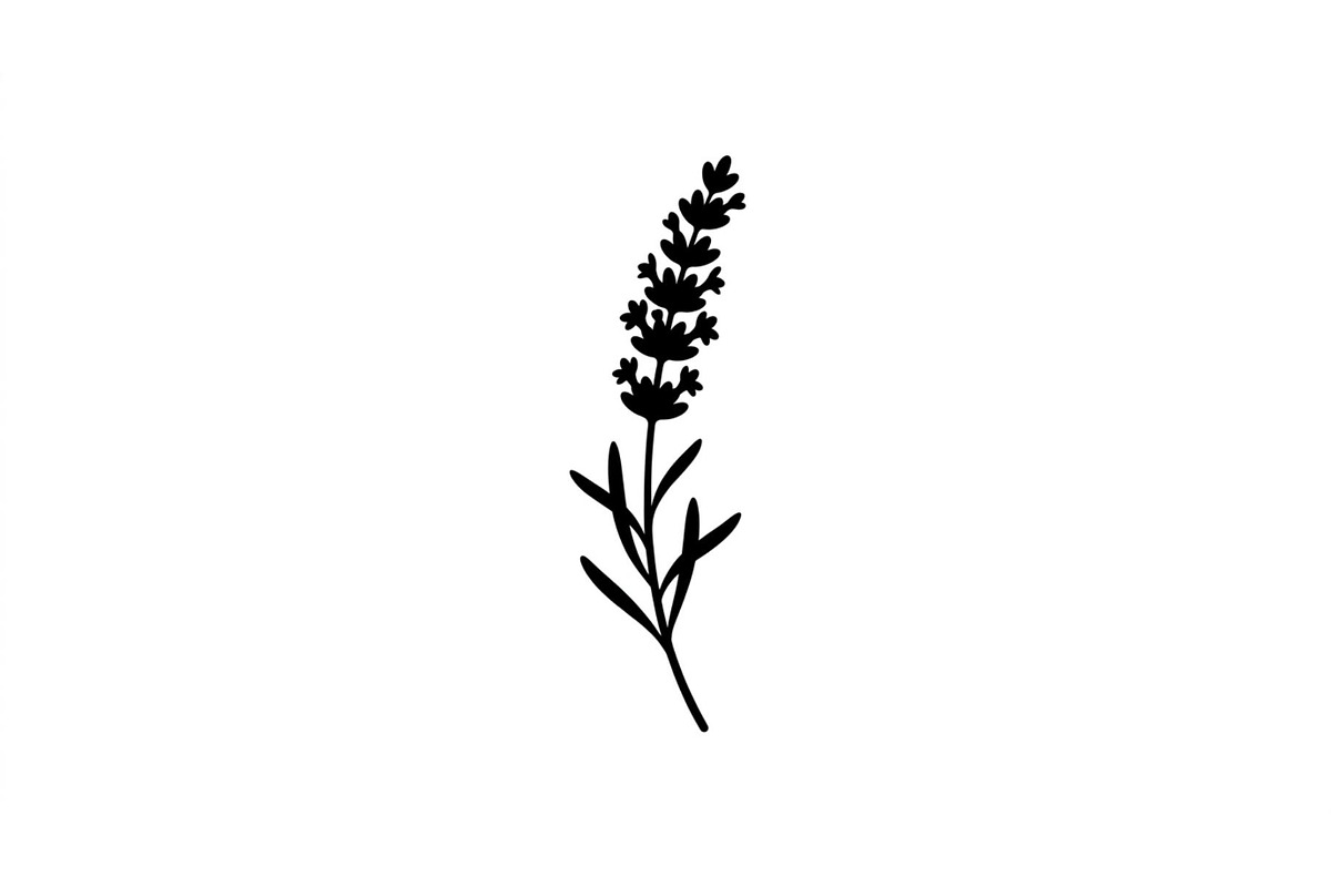 Lavender Flower Silhouette Set, an Object Graphic by Designer_Momina (Photo 2 of 3)