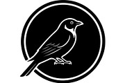 Bird Silhouette Vector Mega Bundle, an Animal Illustration by Designer_Momina (Thumbnail 19 of 21)