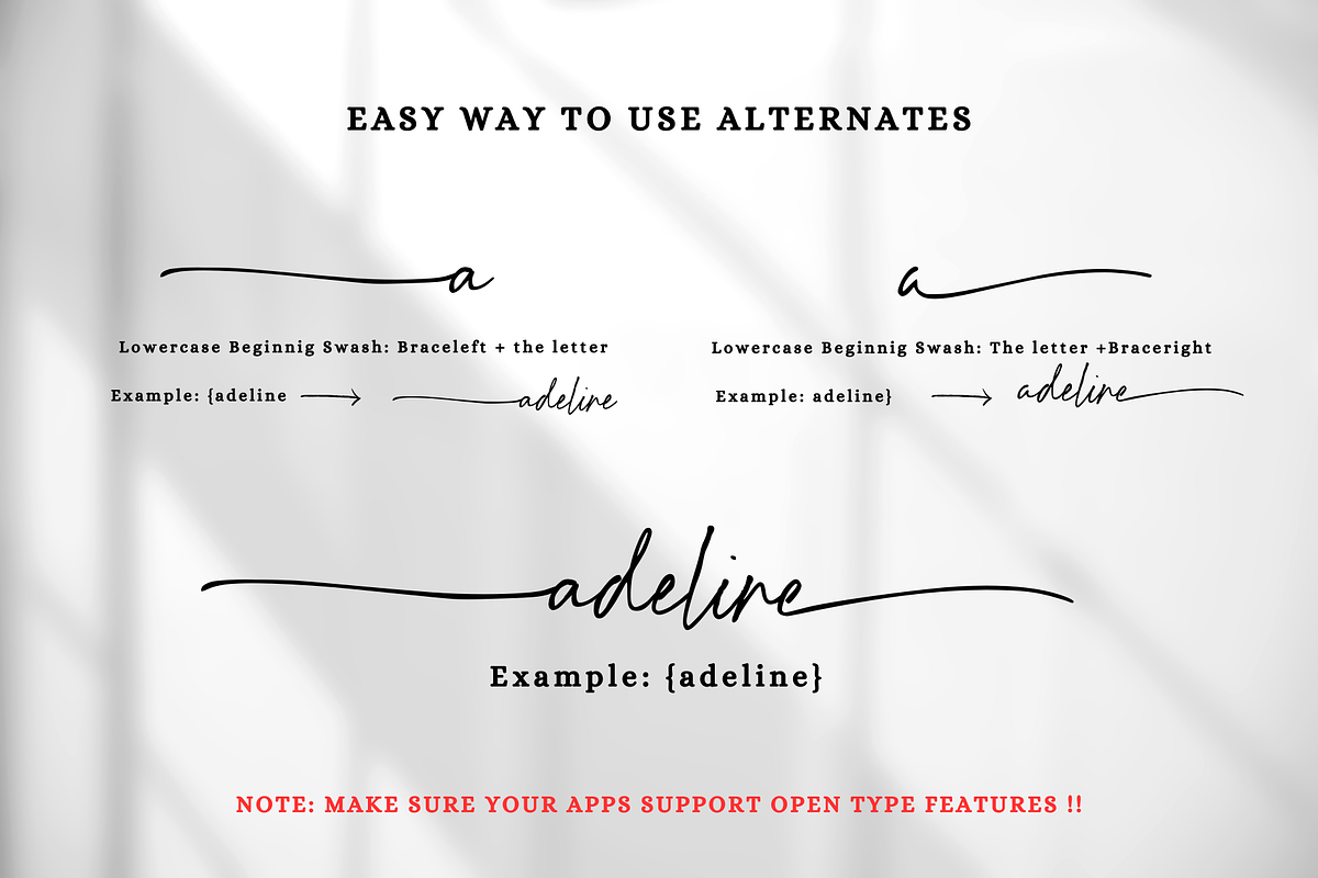 Hildera Script, a Script Font by Sronstudio (Photo 9 of 15)