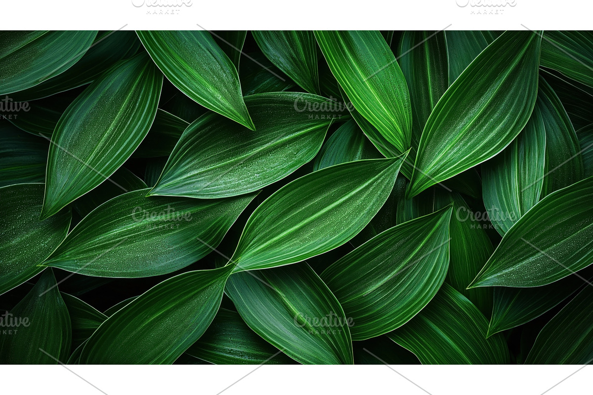 Close-up view of vibrant green, an Object Illustration by Sergey Kotenev