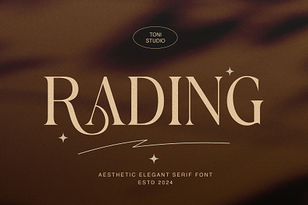 Rading-modern elegant serif, a Serif Font by ToniStudio