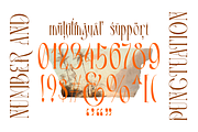 Mintgash Ainlone - Elegant Serif, a Serif Font by TypeClassHeroes (Thumbnail 8 of 10)