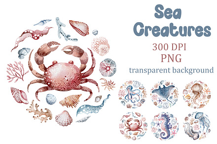 Watercolor Sea Creatures