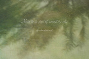 FloraVerde: Botanical Backgrounds, a Background Graphic by alonahaidash (Thumbnail 11 of 12)