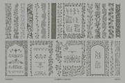 Floriated Borders Vectors, an Object Graphic by MiksKS (Thumbnail 10 of 11)