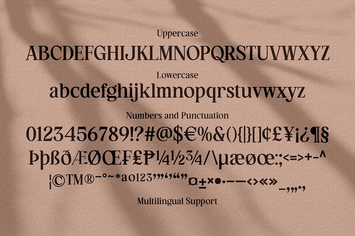 Hagios - Serif Family, a Serif Font by Novitype (Photo 15 of 15)